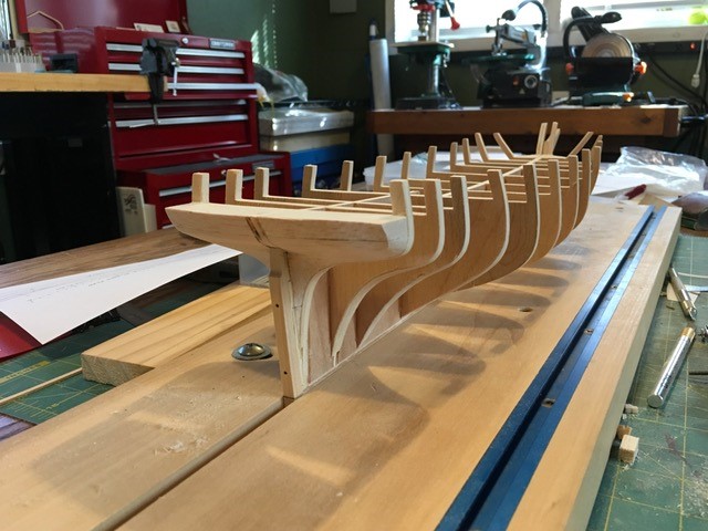 Tim - Model Detail